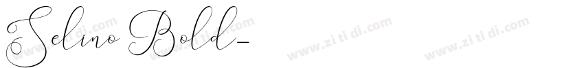 Selino Bold字体转换
